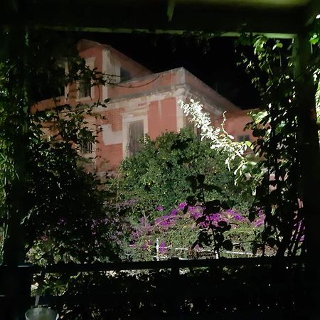 AΥΓΗ Garden House Chania with private entrance Εξωτερικό φωτογραφία