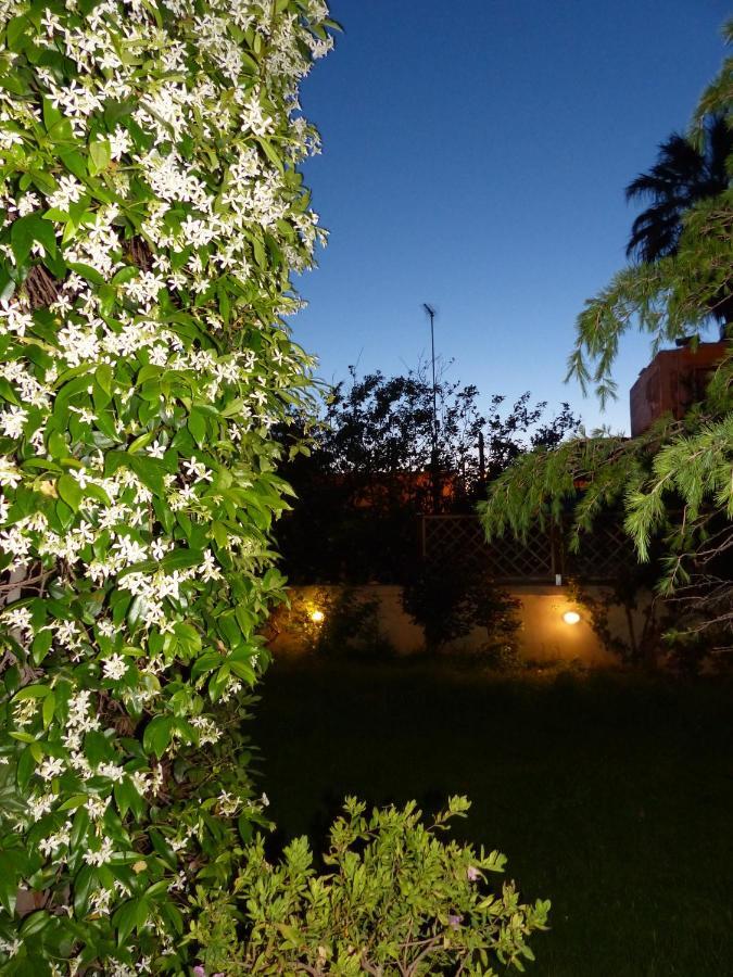 AΥΓΗ Garden House Chania with private entrance Εξωτερικό φωτογραφία