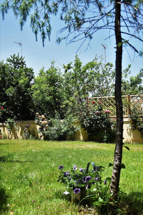 AΥΓΗ Garden House Chania with private entrance Εξωτερικό φωτογραφία